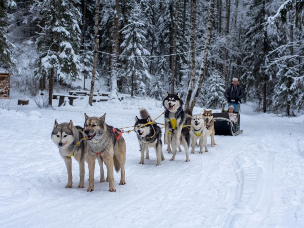 КАРЕЛИЯ. Большое новогоднее путешествие по Карелии 4дн/3н 2024-2025