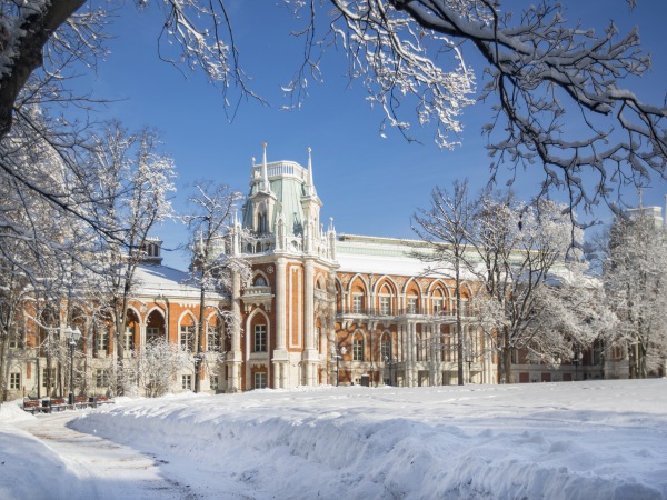 МОСКВА. Рождественский экспромт в Москве 4дн/3н 2025